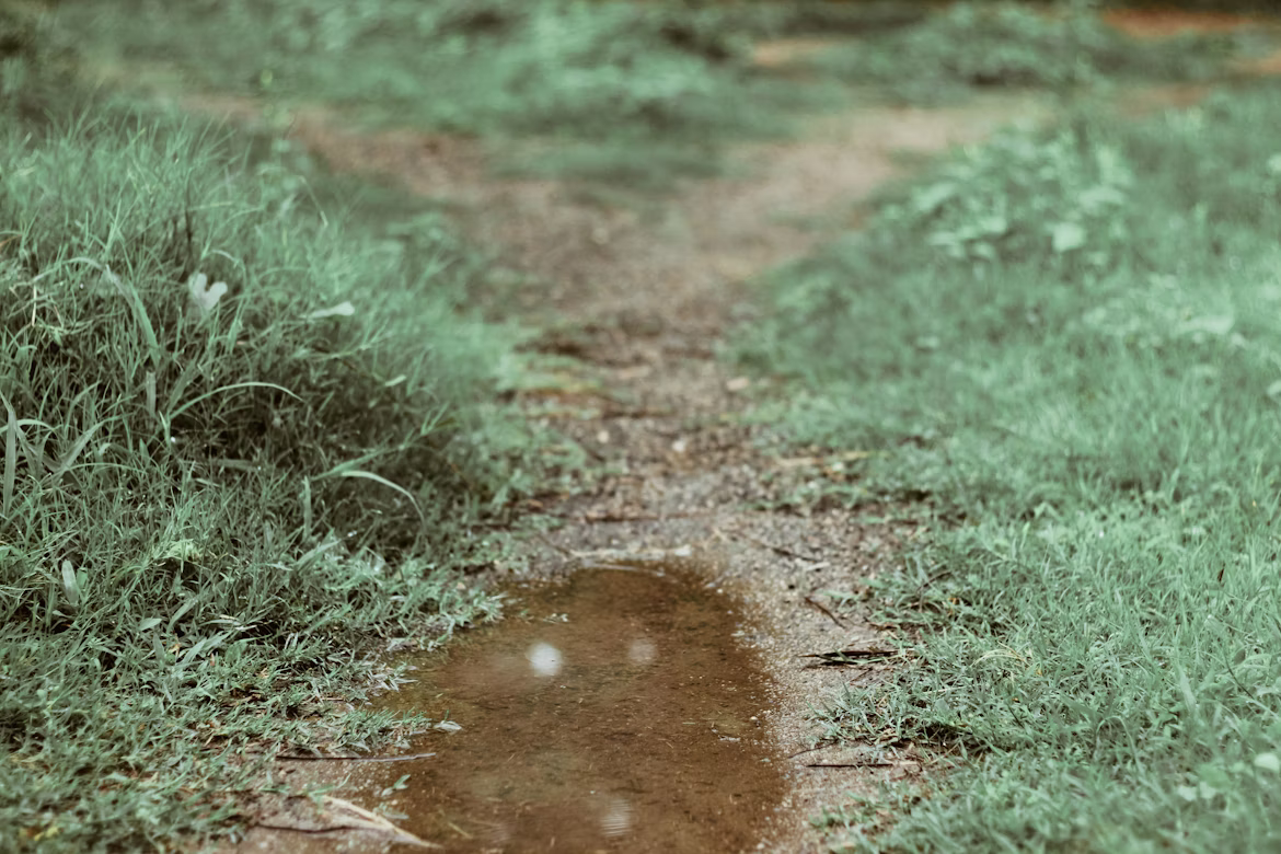 4 Days Amboseli & Tsavo West frame 2